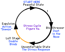 The lull stage circle