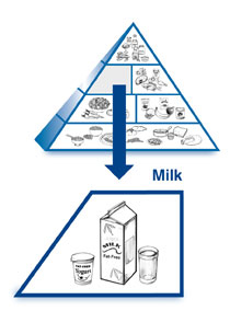 Milk Pyramid