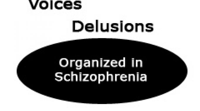 If simulating schizophrenia, you must live in an absolutely terrifying psychotic version of the world. Find out how the place called Schizophrenia creates fear.