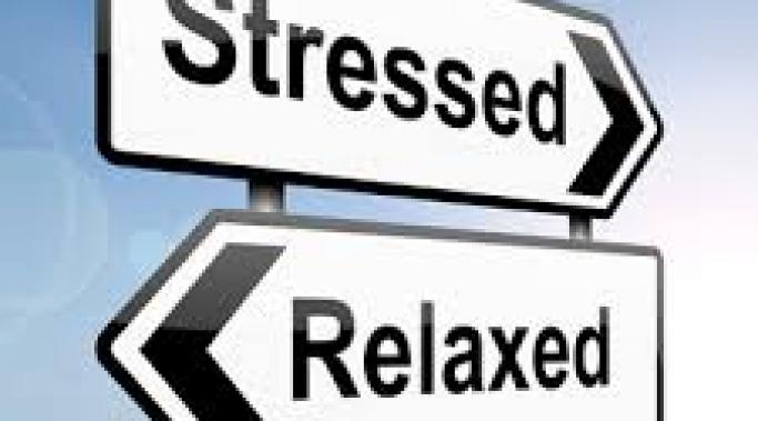 Having the right stress relief tools can help you maintain bliss during times of crisis. Check out these three steps to achieve stress relief. 