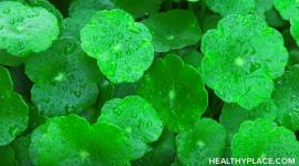 Gotu kola is an herbal remedy used to ease anxiety and treat mental fatigue and insomnia. Learn about the usage, dosage, side-effects of Gotu kola.