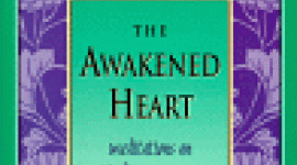 The Awakened Heart : Meditations on Finding Harmony in a Changing World
