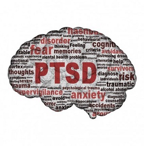 Trauma affects the brain differently in people who develop PTSD. But don't worry, recovery happens. Learn how PTSD sufferers' brains work when facing trauma. 
